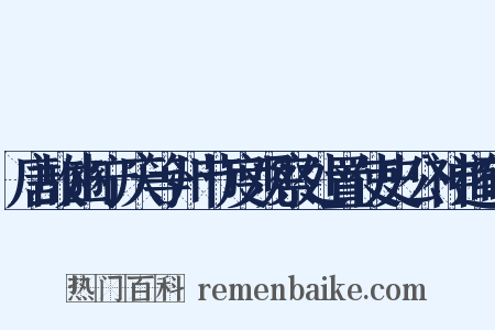 唐故豳宁庆等州节度观察处置使史公神道碑是什么意思的图片
